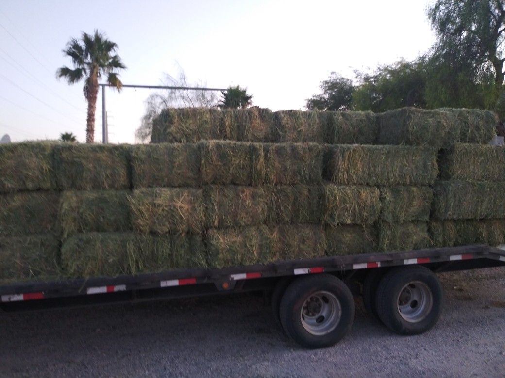 Alfalfa for sale by the Bail