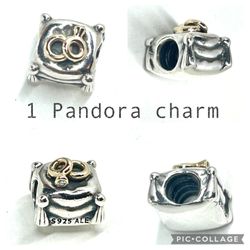1 Pandora Romantic Union Ring Charm