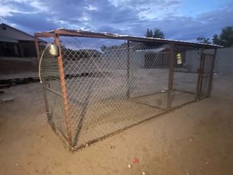 Kennel Dog/Chicken