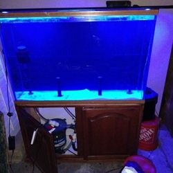 Top Of The Line Pumps. Heater And Light . All That Is Missing Is The Fish  