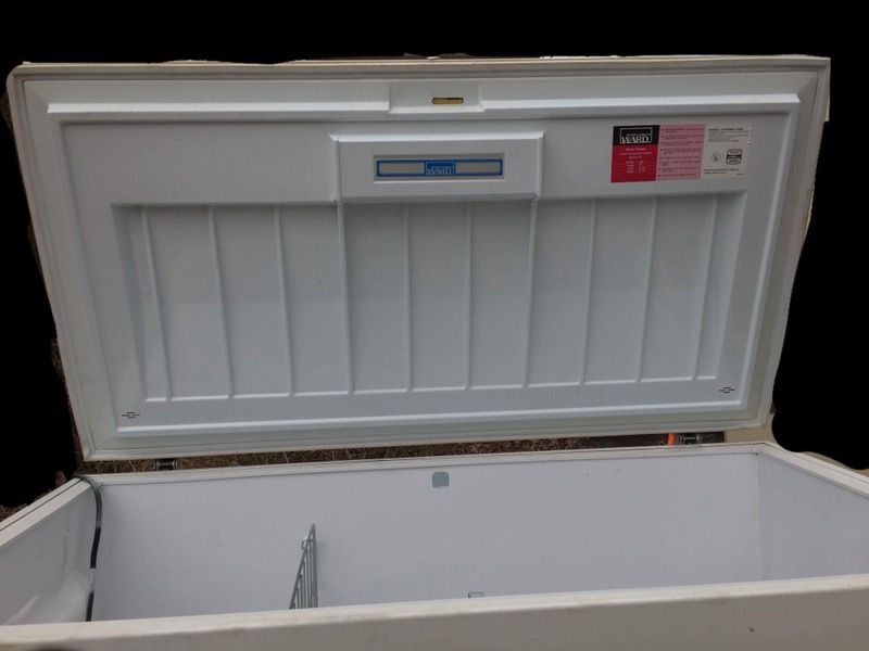 Montgomery Wards 18 cu. ft. Deep Freezer for Sale in Volant, PA - OfferUp