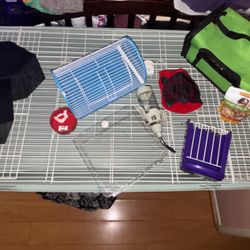 Guinea Pig Essentials