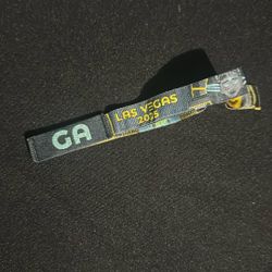 EDC 2025 3 DAY PASS