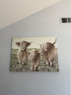 Cow Picture