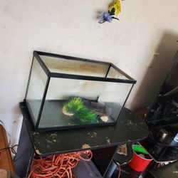 Fish Tank