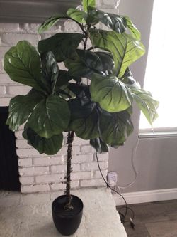 Threshold Fiddle Faux Tree