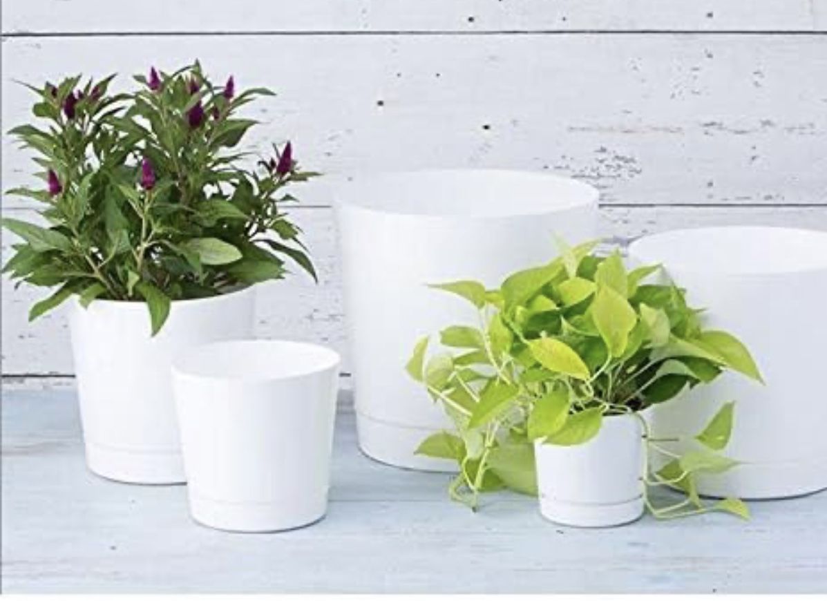 Novelty Majestic Full Depth Cylinder Pot, Glossy White, 14-Inch