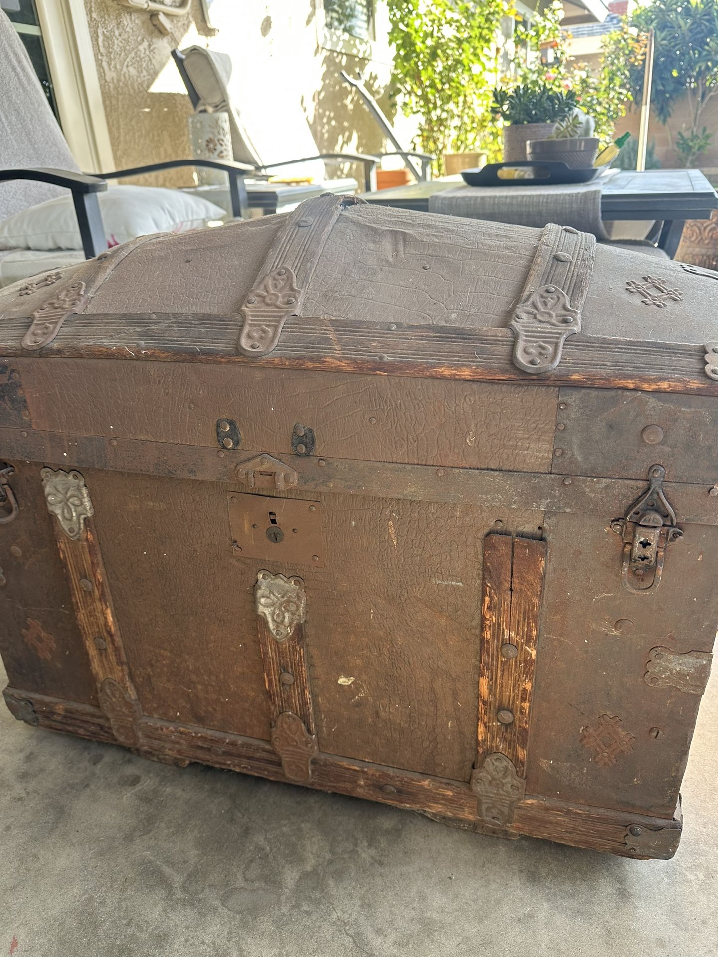Old Trunk