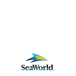 4 Seaworld Tickets