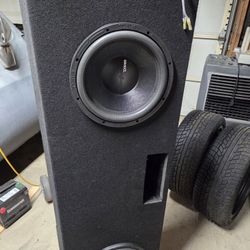 12" DS18 Speakers