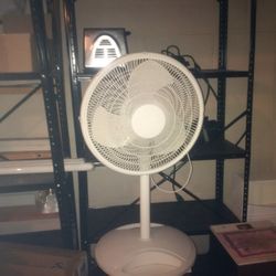 Fan