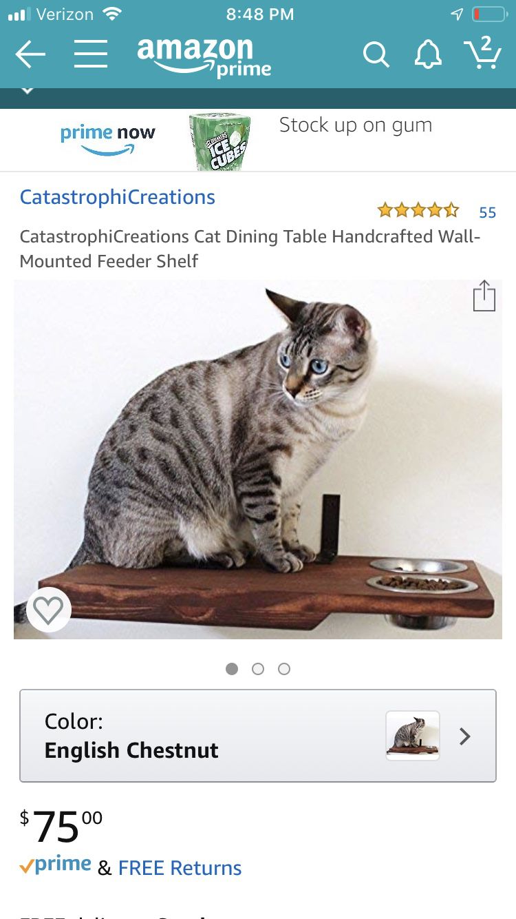 Pet dinning table and hammock