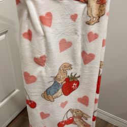 Peter Rabbit Valentines Blanket ✨