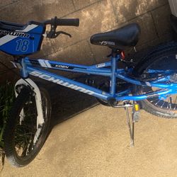 Boys Schwinn Bike