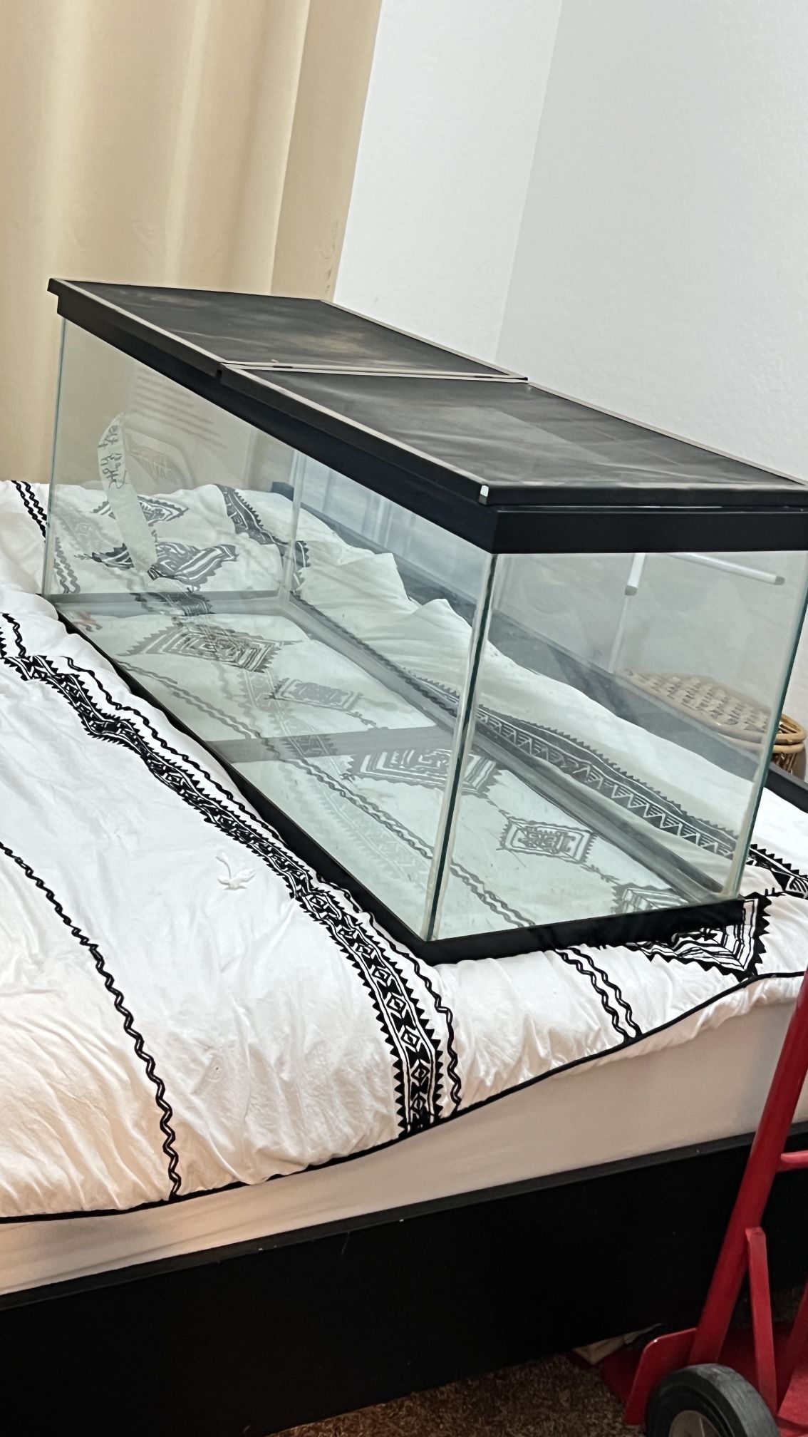 75 Gallon Fish Aquarium Tank For 100!! First Come..