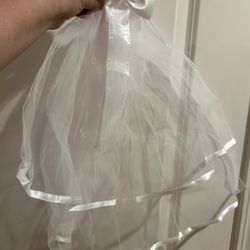 Holy Communion Veil