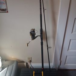 10 Ft