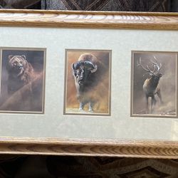 Bear Buffalo Elk Framed Print
