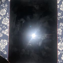 Pink ipad Locked