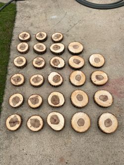 Live Oak Wood Live Edge Slice Cookie Wedding Table Centerpiece