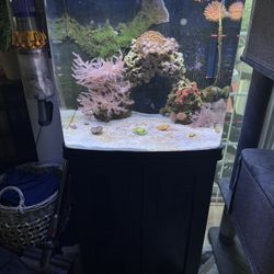 Reef Aquarium With Supplies 