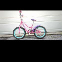 Schwinn Girls 20” Inch Wheel Bike