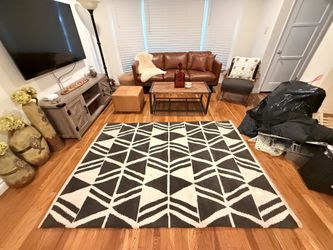 5x7 Modern Symmetrical Rug