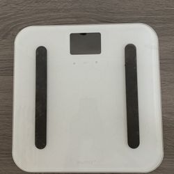 Scale 