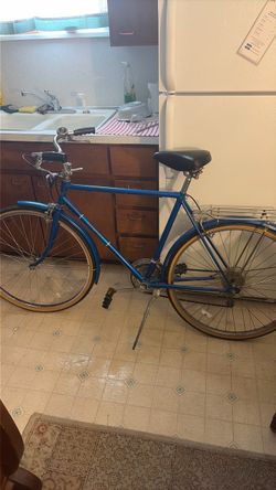 Vintage Free Spirit 10 speed cruiser