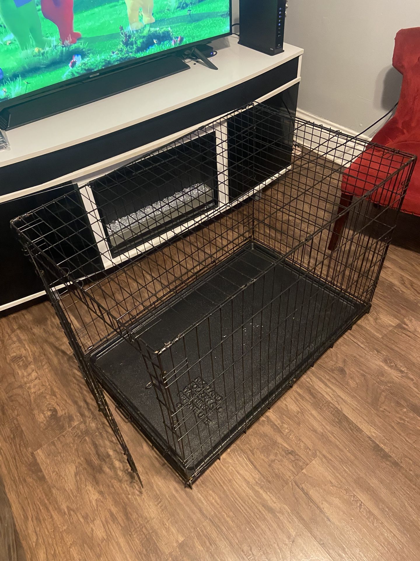 Large cage dog