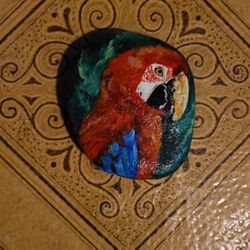 Parrot Piedra