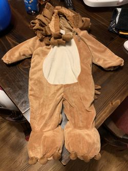 Lion costume