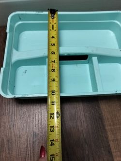 Tray organizers
