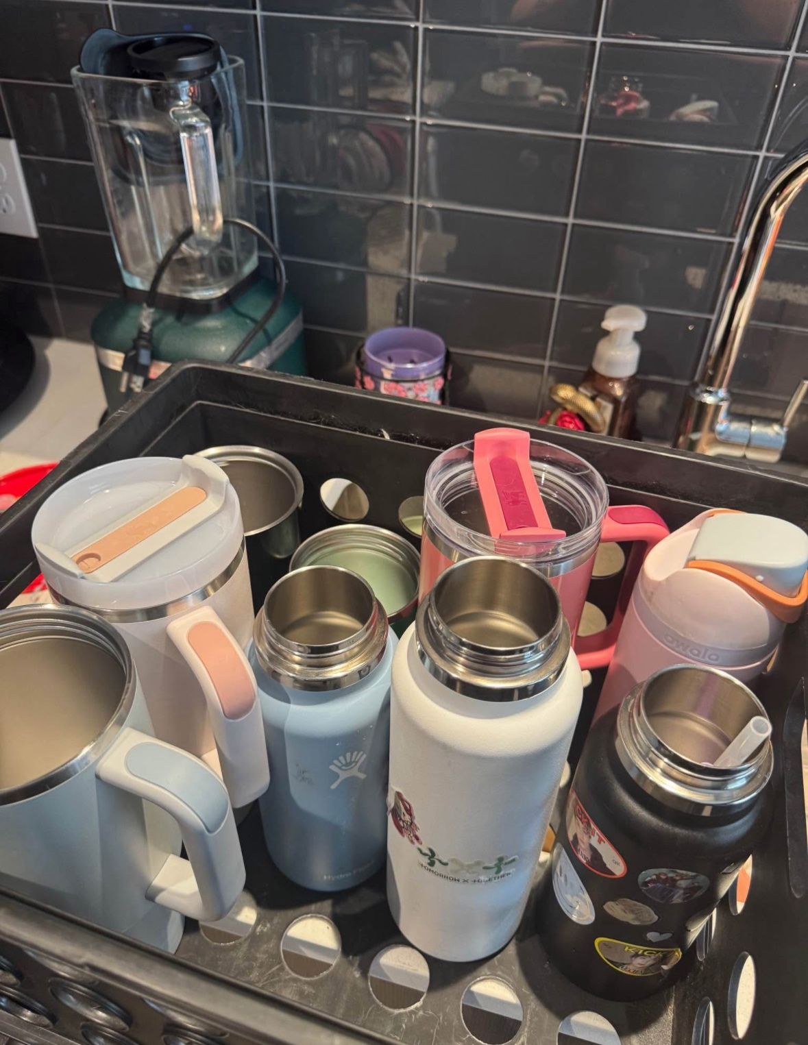 hydroflask and stanley cups