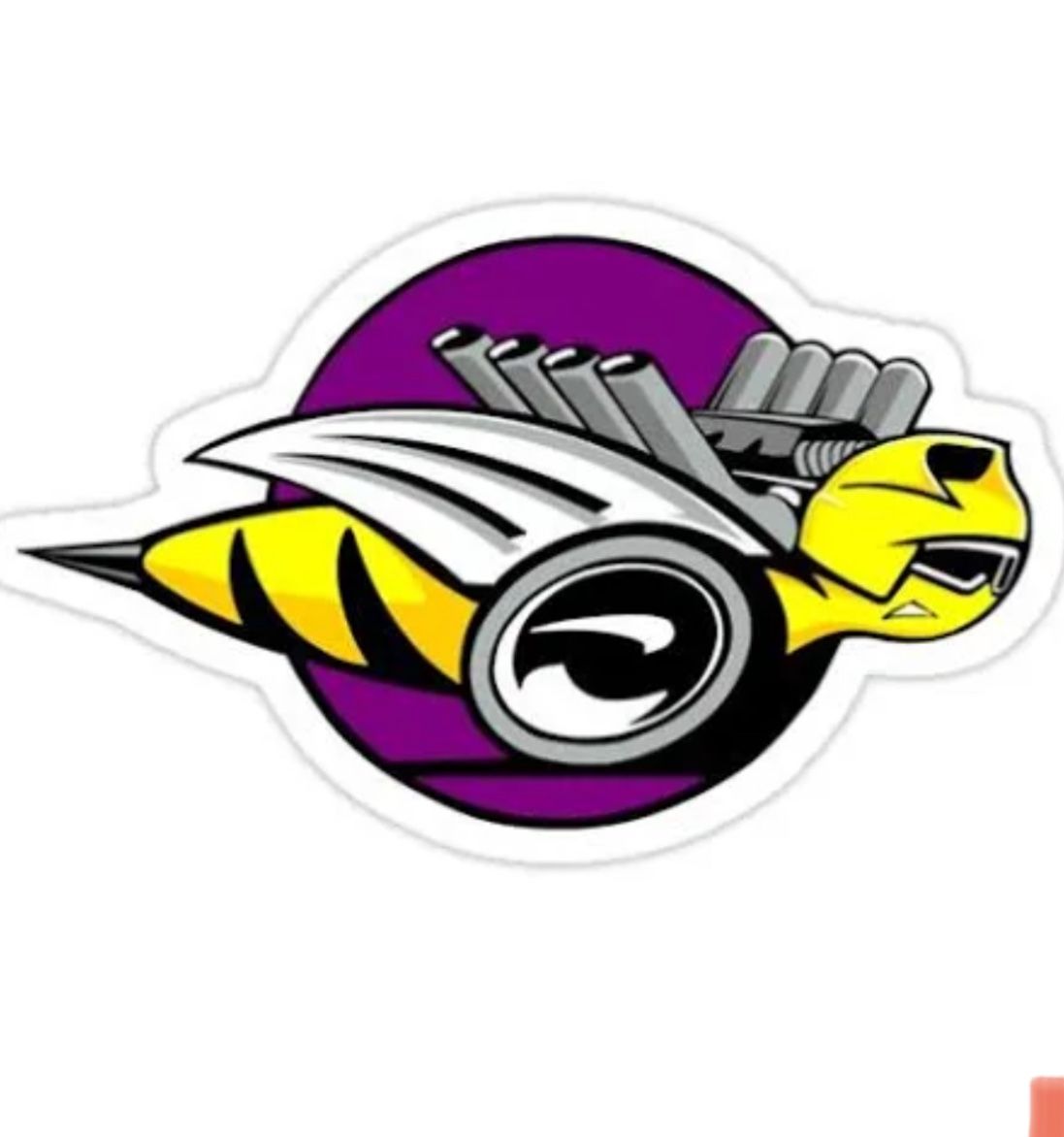 Dodge Ram Rumble Bee Decals- Vinyl