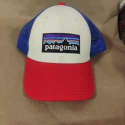 Patagonia P-6 Logo Trucker Hat