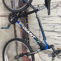 26” REVEL 2 Giant MTB