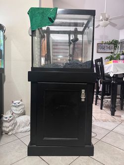 30 gallon takn setup