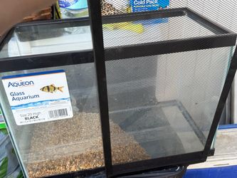 glass aquarium