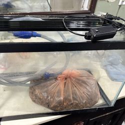 10 gallon fish tank no lid