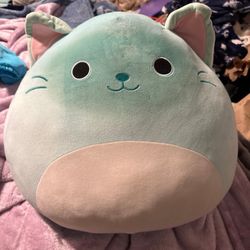 Squishmallow cat