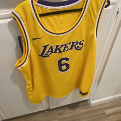 LeBron James Jersey #6