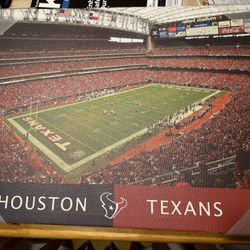 Houston Texans Framed Pic