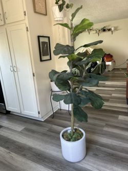 Artificial Fiddle Leaf Standing Plant