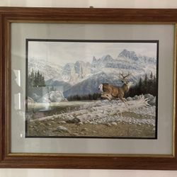 Framed Print