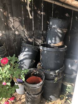Garden wire and 1gal containers .