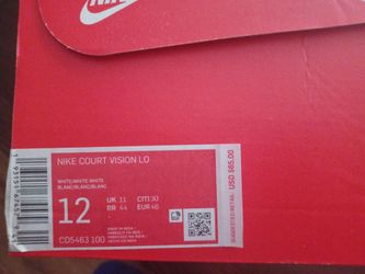 Nike Vision Court Lo