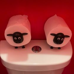 Beautiful Decoration With Toilet Paper