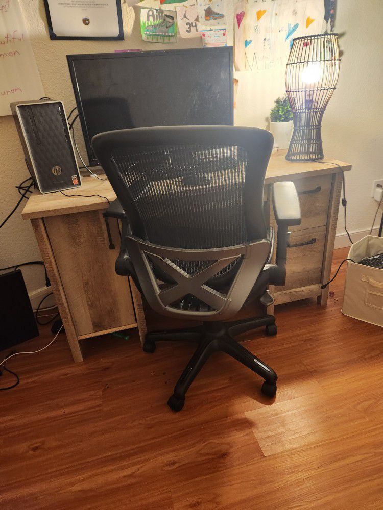  2 Desk Chair 