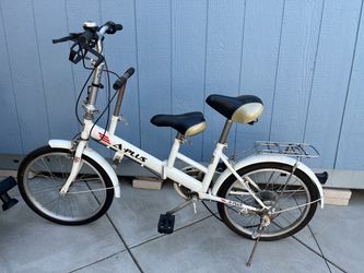Mother and child bicycle
